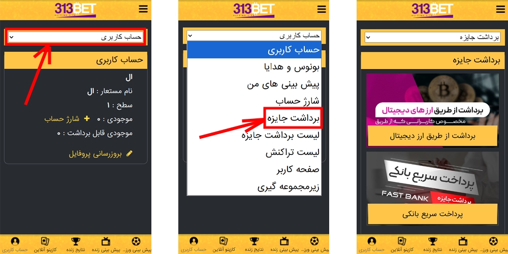 شارژ حساب و برداشت وجه در اپلیکیشن 313 بت آیفون